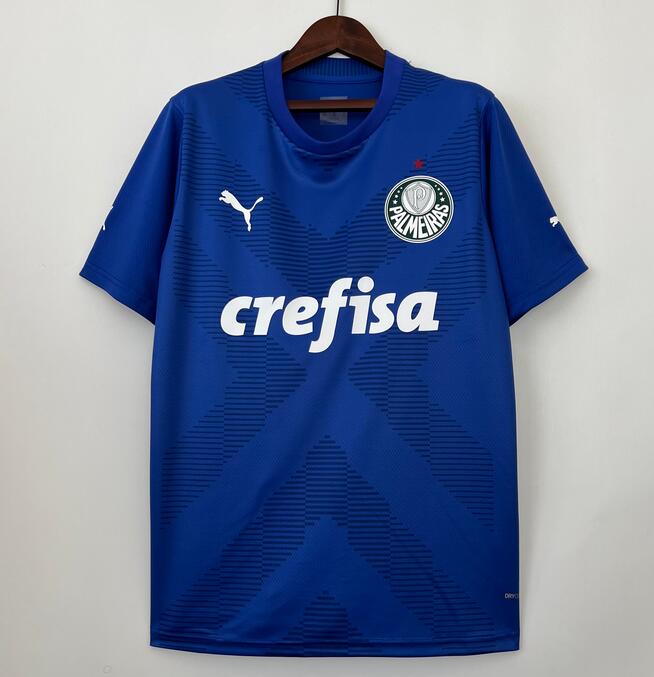 Palmeiras Goalkeeper Kit Soccer Jersey Blue 2023/24